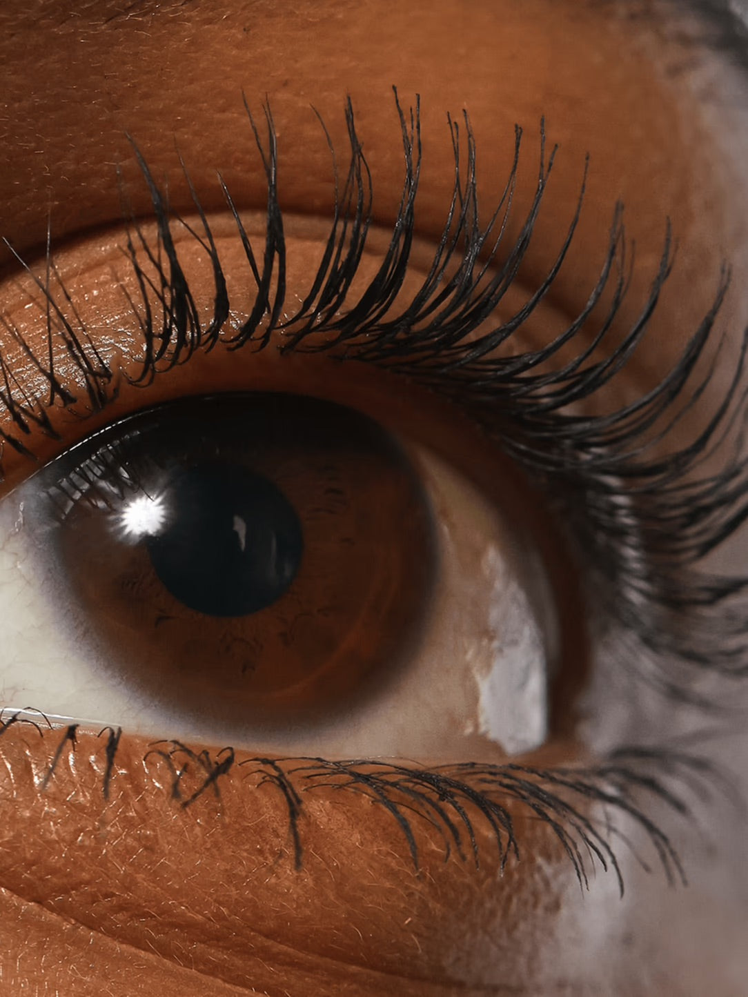 Sculpteur de cils